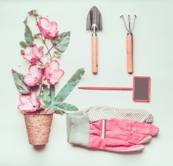 Gardening composing with sign, tools, pink gloves, pink flowers and plant pots, shovel at light green background, top view, flat lay