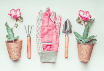 Gardening tools set layout with plant, flowers pot and pink gloves, top view, flat lay