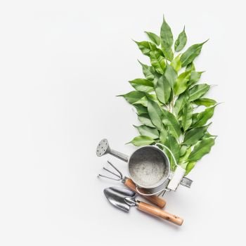 Watering can with gardening tools and green bunch of twigs on white desk background, top view