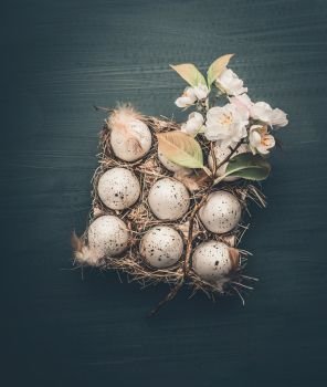 Eggs in carton box with decorative spring blossom on dark gray background, top view. Easter  concept