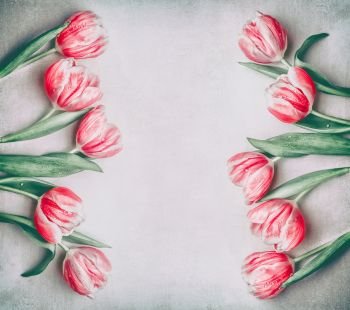 Lovely pink red tulips frame with copy space, flat lay. Layout for spring holidays greeting card 