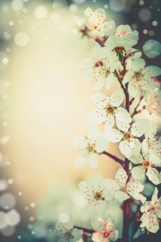 Pretty spring blossom floral frame
