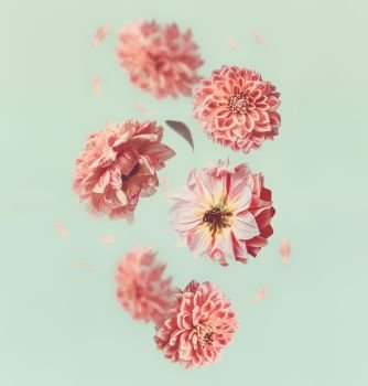 Beautiful  flying  flowers and pastel pink petals at light mint background, creative floral layout, vertical