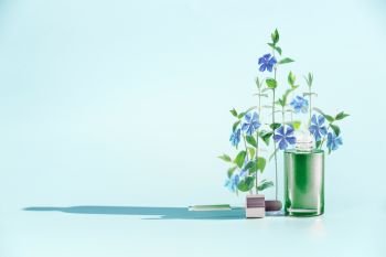 Herbal skin care cosmetics and beauty concept. Green Facial Serum or oil bottle with dropper or pipette and medical flowers and herbs stand at  blue background, front view. Minimal creative layout