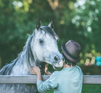Young guy with his Arabian horse at summer pasture