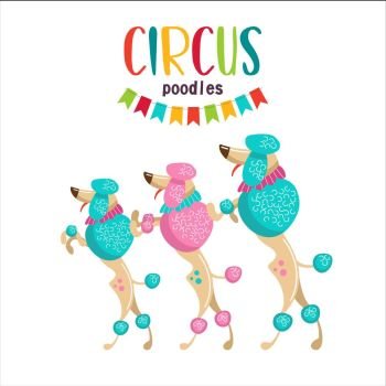 Circus. Vector illustration. Performing poodles. Isolated on a white background.