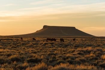Pilot Butte along Wild Horse Scenic Loop, Wyoming