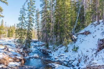 A creek surrounded in snow in Medicine Bow National Forest