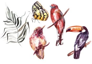 Watercolor set with different tropical birds, butterflies and pl. Watercolor set with different tropical birds, butterflies and plants. . Watercolor set with different tropical birds, butterflies and plants. Illustration