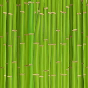 Colorful Stems and Bamboo Leaves Background. Vector Illustration. EPS10. 2015-07-15-07 [??N€?µ???±N€?°?·?????°????N‹??]