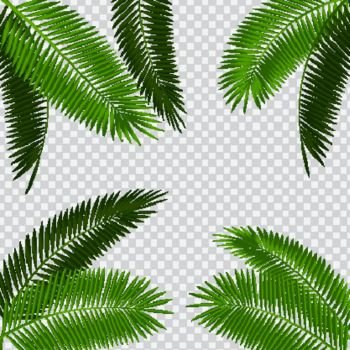 Palm Leaf Vector Illustration on Transparent Background EPS10. Palm Leaf Vector Illustration on Transparent Background