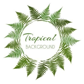 Fern Leaf Vector Background  with White Frame Illustration EPS10. Fern Leaf Vector Background  with White Frame Illustration