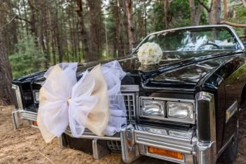 the bride’s bouquet lying on the hood of the black car in the woods