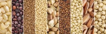 gluten free grains collection (brown rice, quinoa, teff, amaranth, buckwheat, kaniwa,millet, sorghum) - a collage image