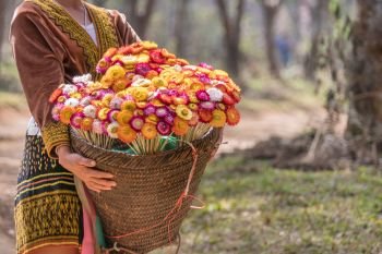 Woman hands holding a large bamboo basket with beautiful flower. basket with flower