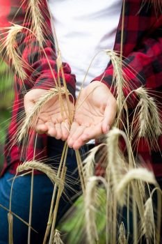 Closeup image of young female farmer holding ripe wheat ears in hands