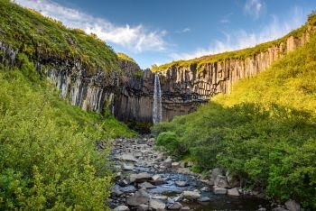 view of beautiful basalt columns waterfall Svartifoss or blackfall in Skaftafell national park, Iceland