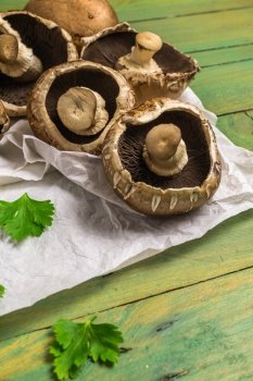 Fresh uncooked brown mushrooms and parsley leaves branch on rustic wooden green painted background.
