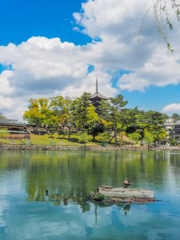 Sarusawa Pond with the five-storied pagoda of the Kofuku-ji Temple in Nara, Japan