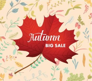 Autumn new season of sales and discounts, deals and offer 