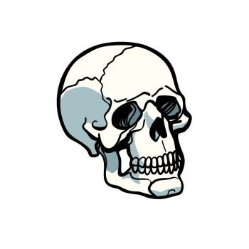 human skull isolated on white background. Comic book cartoon pop art retro illustration vector. human skull isolated on white background
