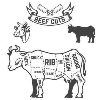 Beef cuts butcher diagram. Cow illustrations on white background. Design elements for poster, menu. Vector illustration