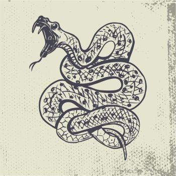 Hand drawn snake illustration on grunge background. Design element for poster, t shirt. Vector illustration