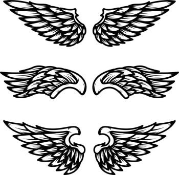 Set of wings isolated on white background. Design element for logo, label, emblem, sign. Vector illustration