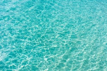 sea or ocean with transparent blue water 

