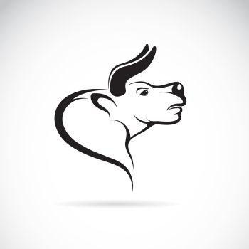 Vector image of an bull head on a white background