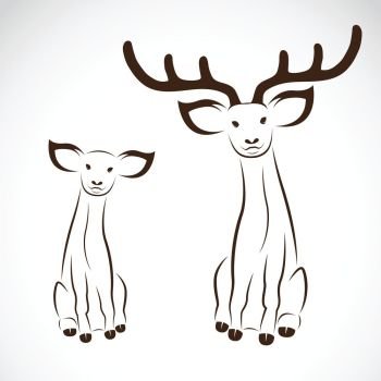 Vector image of an deer on a white background