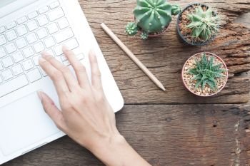 Top view of Cactus gardener’s workspace, Online shopping or Marketing concept, woman’s hand using laptop