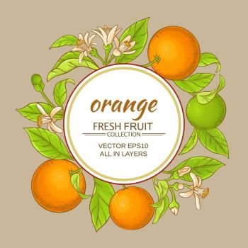 orange vector frame. orange branches vector frame on color background