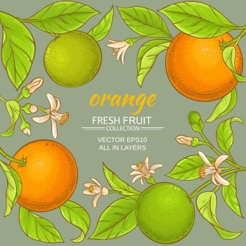 orange vector frame. orange branches vector frame on color background