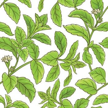 stevia branch vector pattern. stevia branch vector pattern on white background