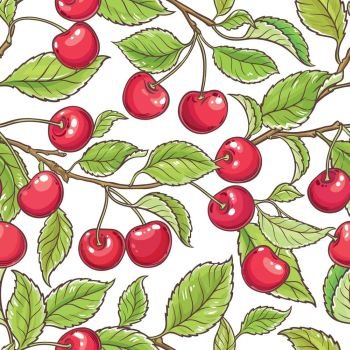 cherry branch vector pattern. cherry branch vector pattern  on white backgrond