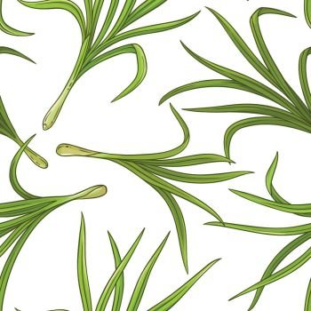 lemongrass  plant vector pattern. lemongrass  plant vector pattern on white background