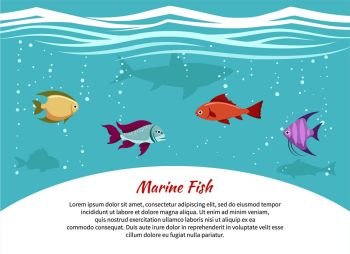 Marine fish poster. Marine fish poster. Underwater world background with place for text. Vector illustration.