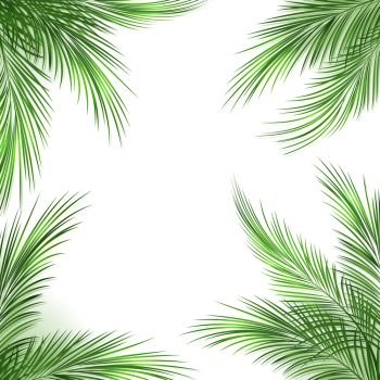 Palm leaves frame. Palm leaves frame. Palmtree green leaf tropical beach border on white background, vector illustration