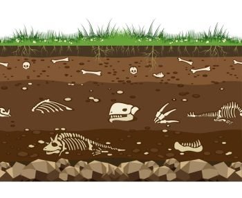 Soil with dinosaur bones. Soil with dead animals. Horizontal seamless earth underground surface with dinosaur and lizard bones vector illustration