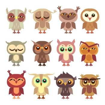 Funny cartoon owls vector set. Funny cartoon owls vector set. Wild bird predator, little owlet illustration