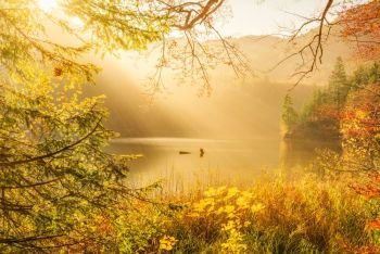 Colorful autumn landscape with the morning sunshine over the Bavarian forest, German Alps and Alpsee lake.