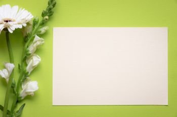 Greeting card idea with beautiful white flowers and a big piece of paper with space for text, on a green background. A concept for mother day, valentine day, events.