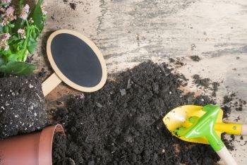 Repotting activity with a blooming plant, a flower pot overturned, soil, gardening tools, and a blank black banner, on a vintage wooden table.