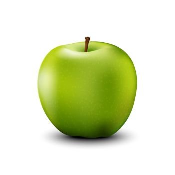 Green apple realistic detailed 3d illustration isolated on white. Vector.
