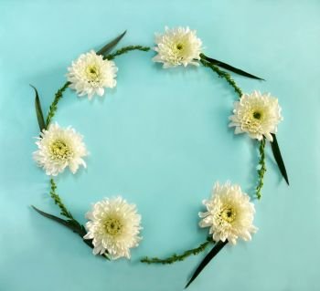 Flower round frame wreath made of white flowers on blue background.  Flat lay, top view