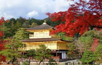 Golden Pavilian at Kinkakuji Temple with red leaves in Autumn season