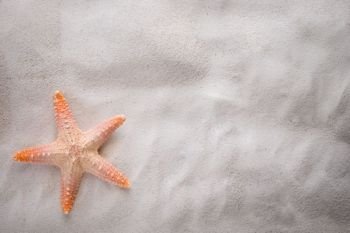 starfish on the sand with copy space for summer concept.