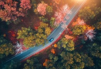 Aerial view of road with blurred car in autumn forest at sunset. Amazing landscape with rural road, trees with red and orange leaves in day. Highway through the park. Top view from flying drone.Nature