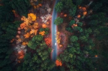 Aerial view of road in beautiful autumn forest. Amazing landscape with empty rural road, trees with green, red and orange leaves in day. Highway through the park. Top view from flying drone. Nature